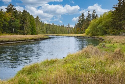 Whoever agreed gets the money: an environmentalist tells about the strange distribution of funds by the State Water Agency