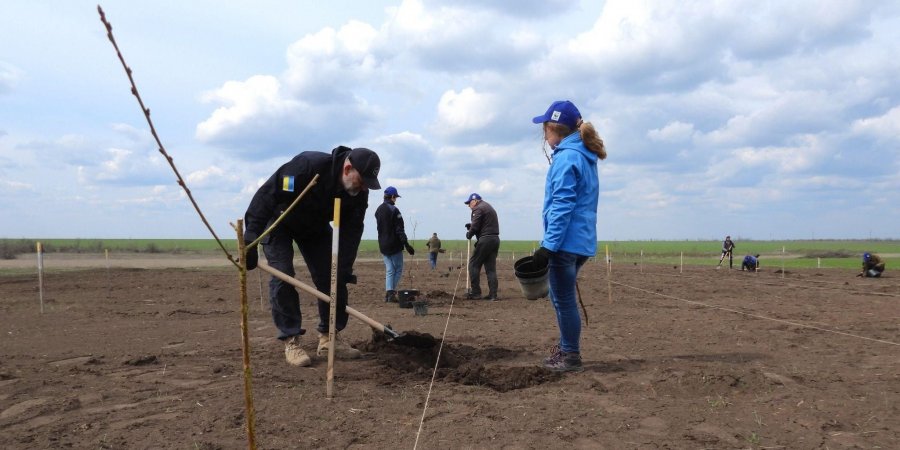 Photo – Forest strips damaged by hostilities are being restored in Mykolaiv region