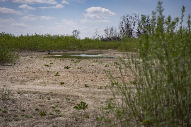 Еколог показав, як відновлюється Великий Луг на місці Каховського водосховища. Відео