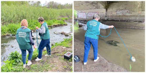 Pollution of the river in Zaporizhzhia: what is the situation now?