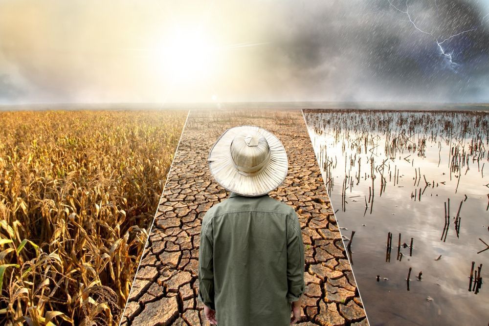 Photo – Trump shuts down a database that has recorded the cost of climate disasters since 1980