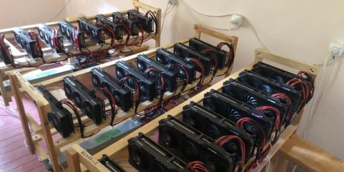 Майнили криптовалюту прямо в лесхозе: АРМА продаст оборудование подпольной фермы