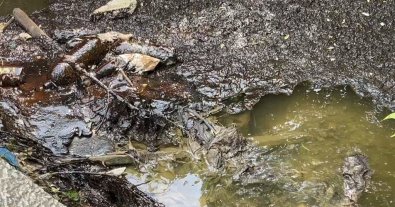 Фото – У Запоріжжі екологи та поліція з'ясовують, хто й чим забруднив річку Мокра Московка