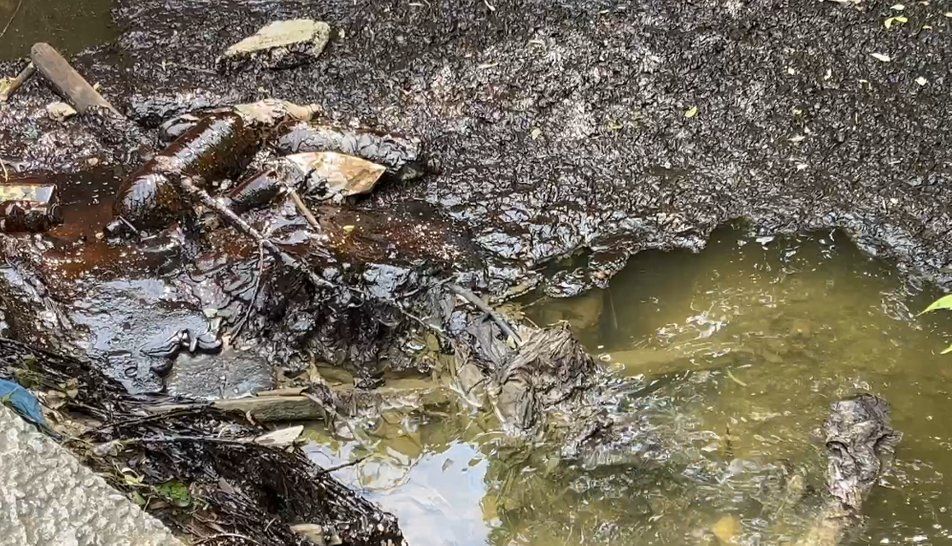Photo – In Zaporizhzhia, ecologists and police are investigating who and what polluted the Mokra Moskovka River