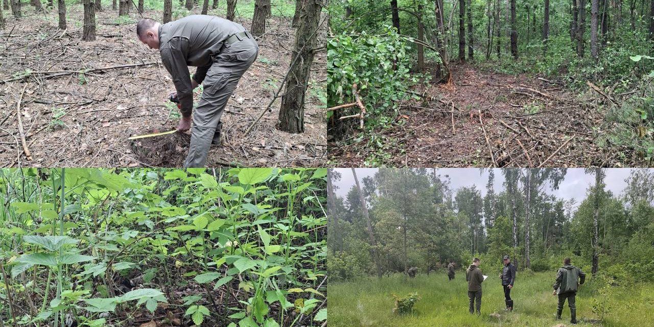 Photo – Major violations in the ecosphere for June 14-20. Digest