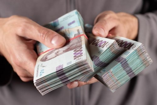 Призначені на природоохоронні заходи 15,7 млн грн витратять на створення нової установи