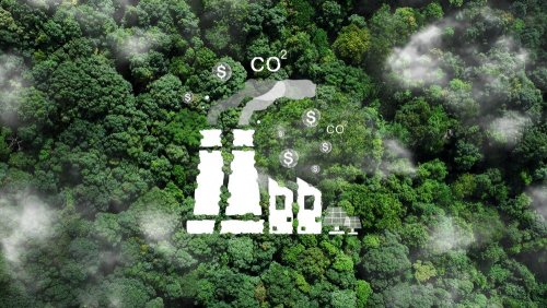 Верховная Рада проголосовала за изменения в Налоговый кодекс, связанные с эконалогом
