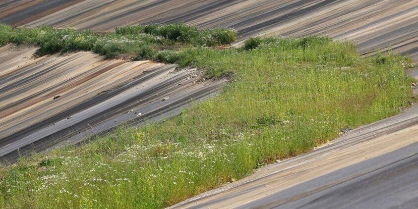 Фото – Замість сміттєзвалища – поле для гольфу: як цього року трансформують Грибовицький полігон