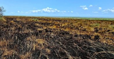 Фото – В Одесской области "шахеды" уничтожают нацпарк "Тузловские лиманы"