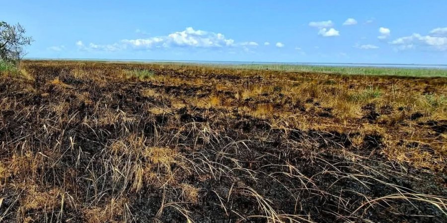In Odesa region, Shaheds destroy the Tuzly Estuaries National Park