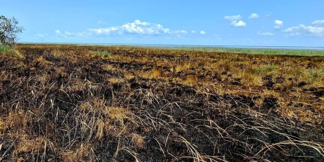 Фото – На Одещині "шахеди" знищують нацпарк "Тузлівські лимани"