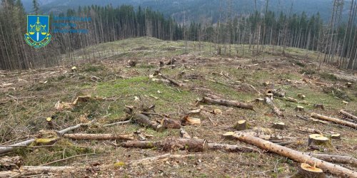 Environmental violations with the greatest damage for July 19-25. Digest