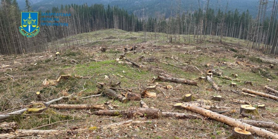 Экологические нарушения с наибольшим ущербом за 19-25 июля. Дайджест