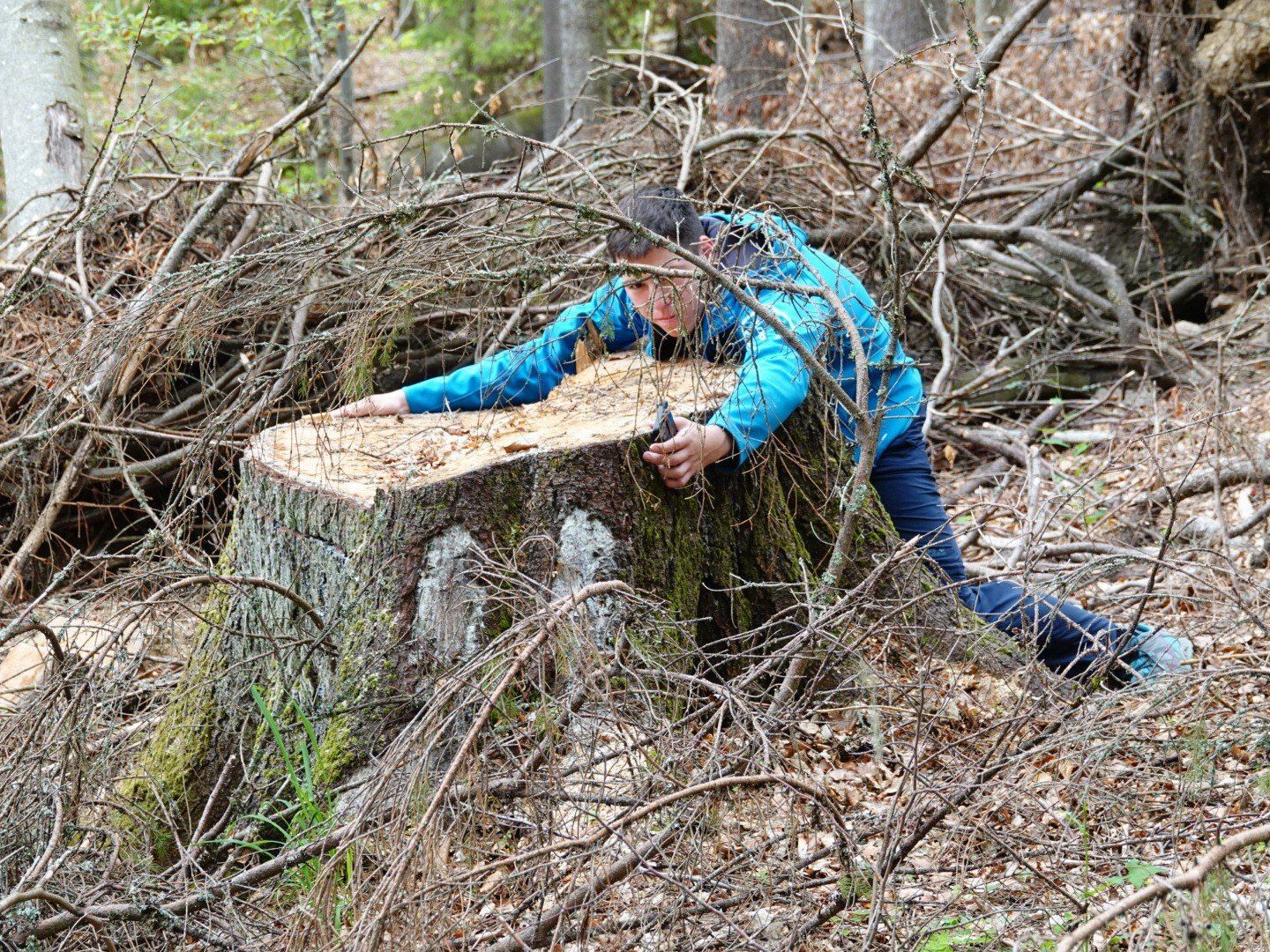 t.me/natureprotectionukraine