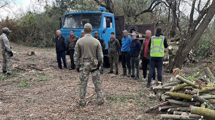 Фото – Довкіллєві порушення із найбільшою шкодою з 2-8 серпня. Дайджест