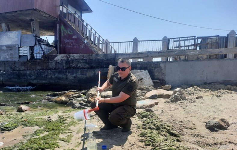 Photo – The Black Sea has become overgrown with algae: experts have taken water samples