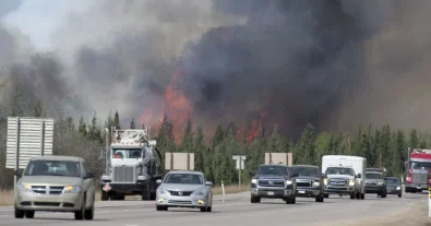 Photo – Forest fires in Canada and the US: what are the environmental consequences?