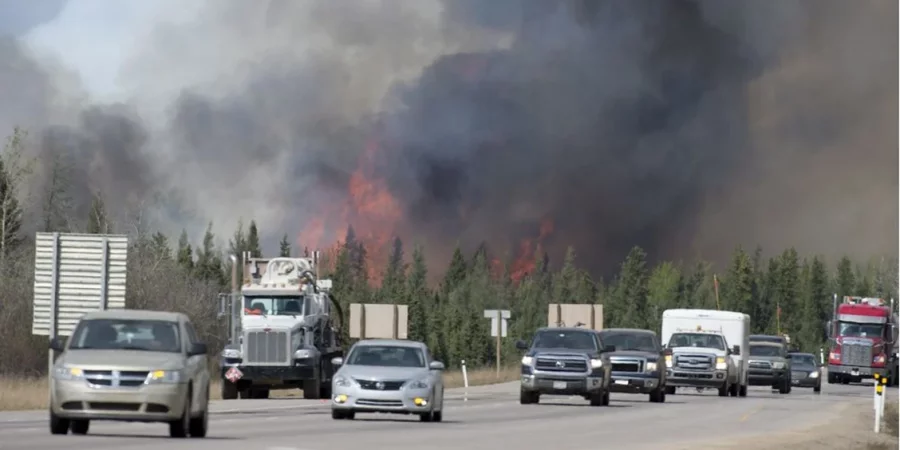 Photo – Forest fires in Canada and the US: what are the environmental consequences?