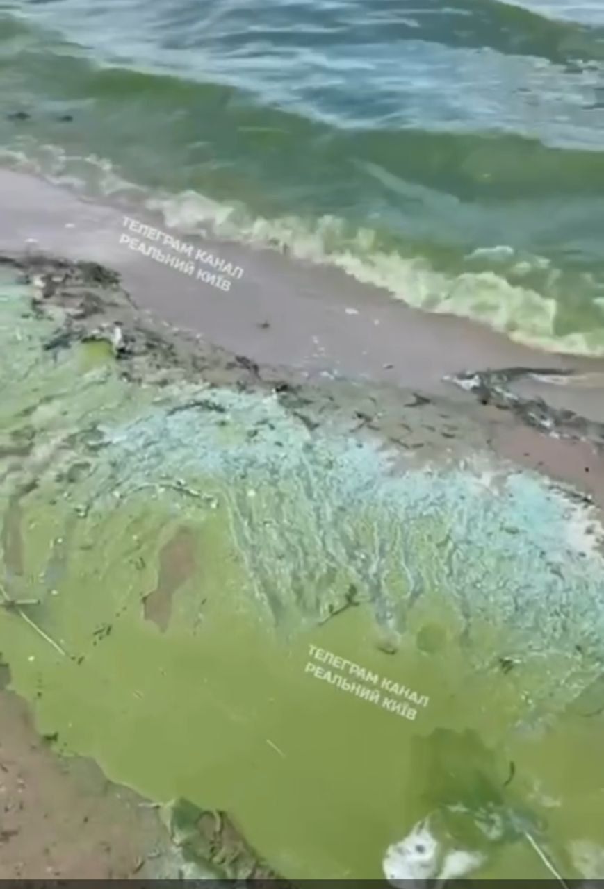 Фото – Мешканці Києва помітили зелене забарвлення води у Дніпрі: чим воно загрожує?