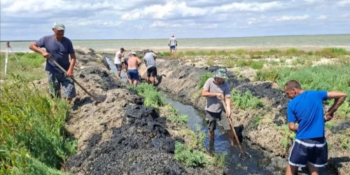 У національному парку “Тузлівські лимани” розчистили протоку для вільної міграції фауни