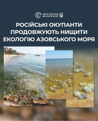 Медузи вкрили узбережжя Азовського моря: чим вони загрожують?