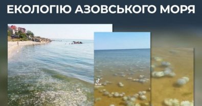 Фото – Медузи вкрили узбережжя Азовського моря: чим вони загрожують?