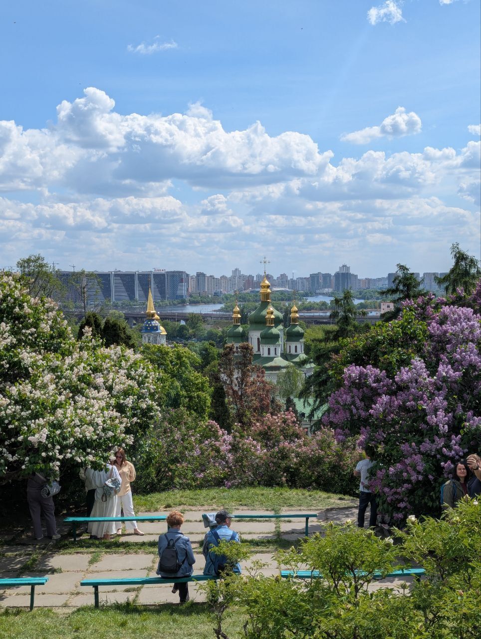Фото – Почему городам нужна зелень, а не бетон?