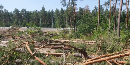 Суд визнав будівництво меморіального кладовища в Мархалівському лісі незаконним