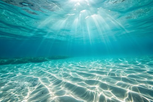 Температура води в океанах стрімко зростає через теплі морські хвилі
