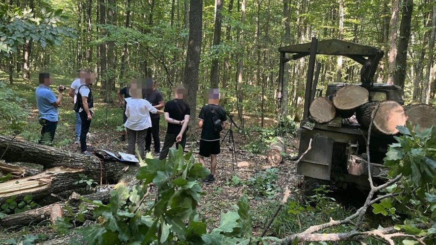 Найвагоміші порушення в екосфері з 30 серпня по 5 вересня. Дайджест