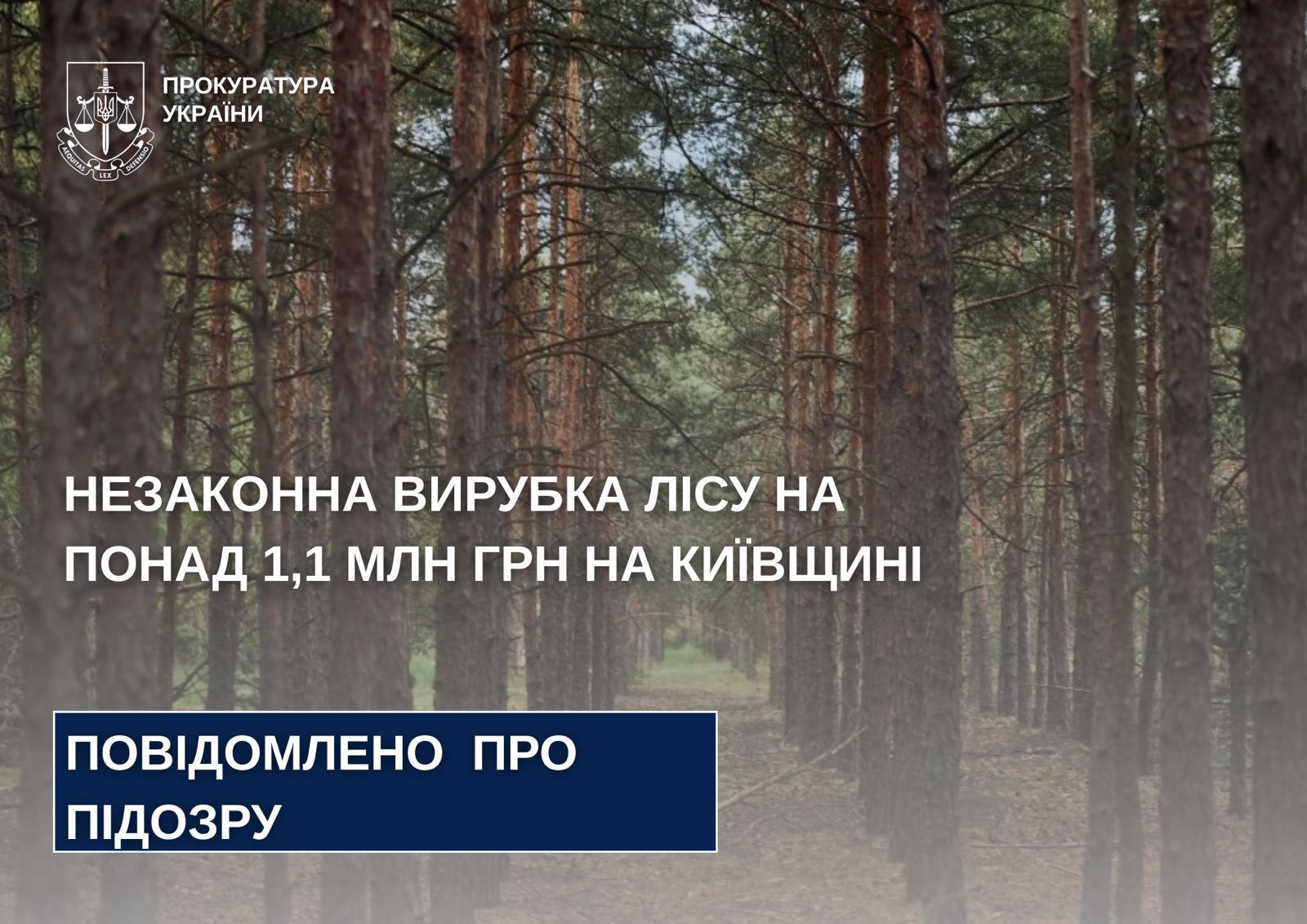 kobl.gp.gov.ua/ua