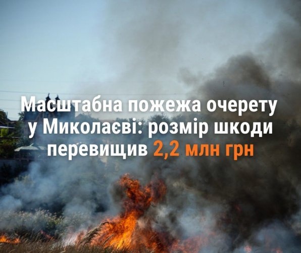 В Николаеве произошел масштабный пожар, ущерб окружающей среде составил 2,2 млн грн
