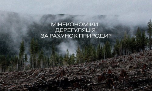 Екологічний комітет Верховної Ради відправив на доопрацювання урядовий законопроєкт №13554