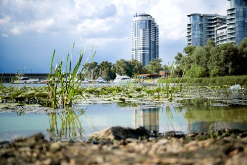 Pollution found on the banks of the Dnipro River in Kyiv. Video.