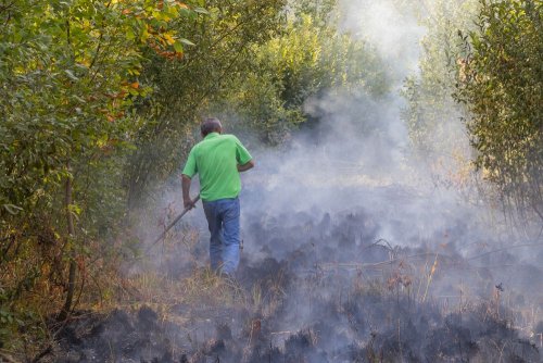 На Полтавщині з початку року спалахнуло з десяток торф’яних пожеж