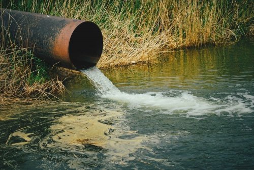 В реку Каменка попали сточные воды: на месте взяли пробы воды