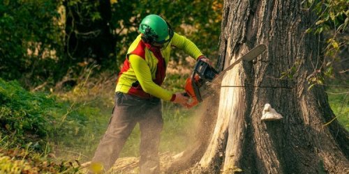 The most significant violations in the environmental sphere from August 30 to September 5. Digest