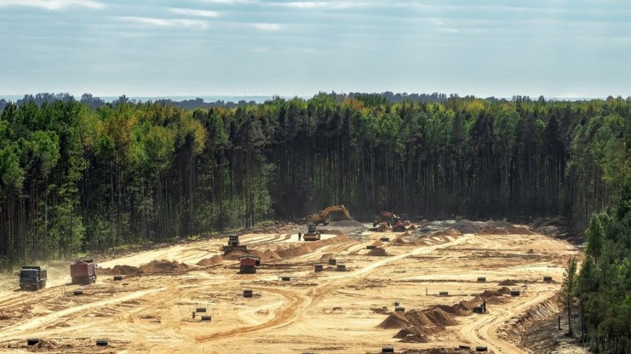Департамент захисту довкілля КМДА планує скасувати заборону вирубки лісів, – КЕКЦ