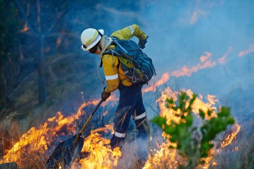 Fields along the highway caught fire in Kyiv region. Video.