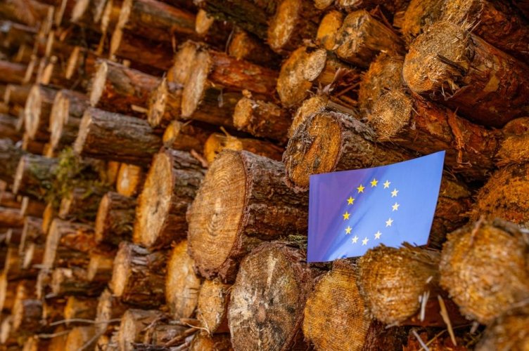 ЕС уже во второй раз откладывает внедрение Регламента ЕС по вырубке лесов: какова реальная причина