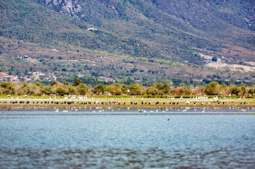 62% водоемов в странах ЕС находятся в плохом экологическом состоянии, – отчет EEA