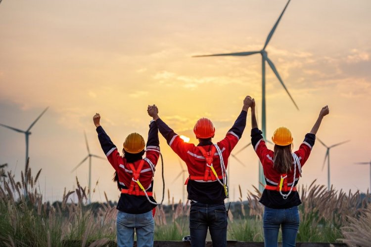 Vestas invests in Ukrainian wind energy: wind farm capacity exceeds 880 MW