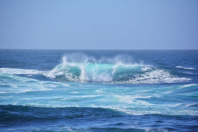 Starting in 2026, marine protected areas will appear in the world's oceans: what they are for