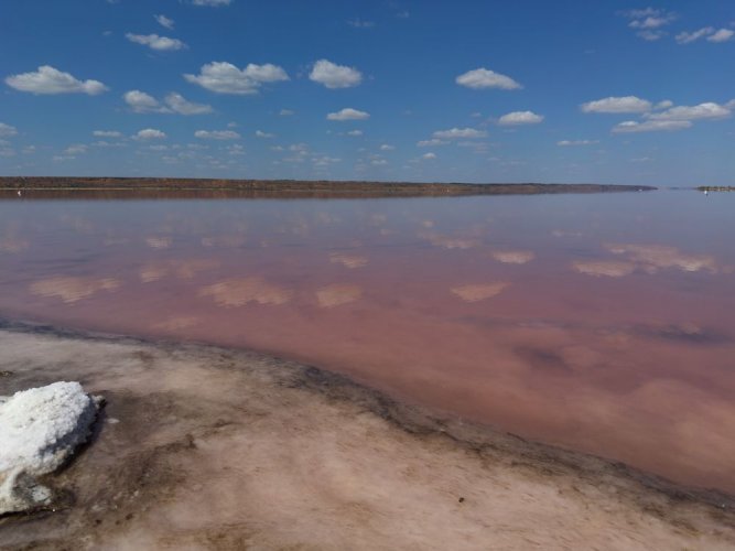 На Одесчине Куяльницкий лиман мелеет на глазах: экологи призывают к действиям