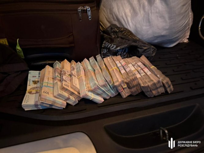 Десятки миллионов на дубах, уничтожение реки, захват побережья: дайджест экопреступлений за 25–31 октября