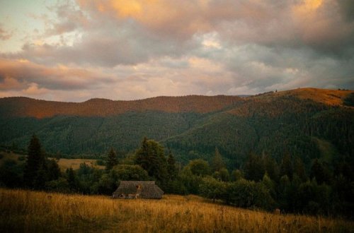 Прокуратура отстояла земли Карпатского национального природного парка в Верховном Суде