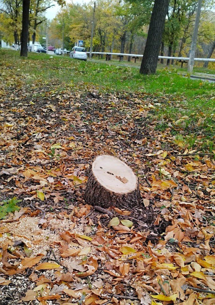 derzhecoinspekciya
