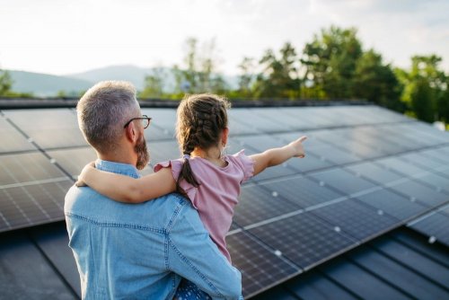 Global renewable energy growth still falls short of climate goals, – report