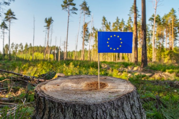 The European Commission has changed its mind again: EU Deforestation Regulation to enter into force on December 30