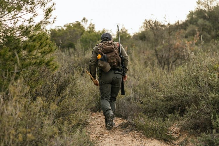 На Львовщине браконьеры попали в машину лесничего